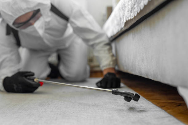 Professional Cockroach Control technician working in Hudson, PA
